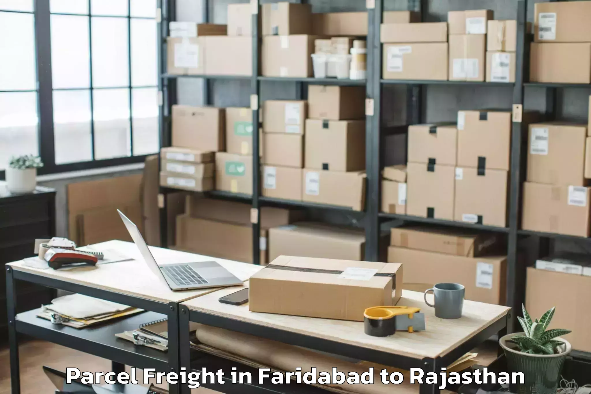 Professional Faridabad to Pushkar Parcel Freight